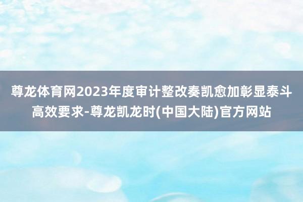 尊龙体育网2023年度审计整改奏凯愈加彰显泰斗高效要求-尊龙凯龙时(中国大陆)官方网站