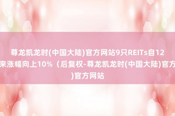 尊龙凯龙时(中国大陆)官方网站9只REITs自12月以来涨幅向上10%（后复权-尊龙凯龙时(中国大陆)官方网站