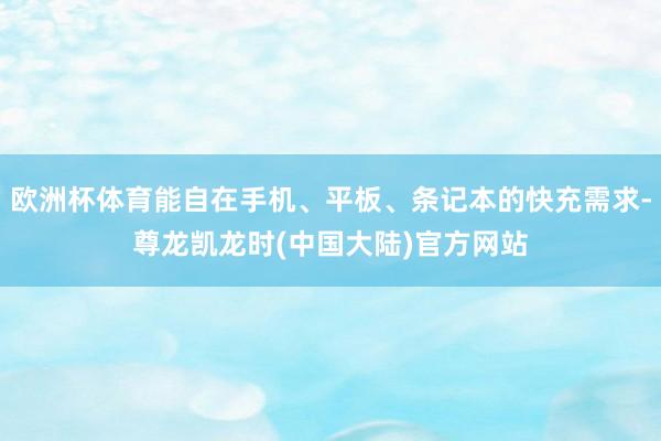 欧洲杯体育能自在手机、平板、条记本的快充需求-尊龙凯龙时(中国大陆)官方网站