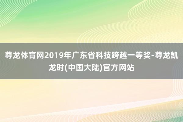 尊龙体育网2019年广东省科技跨越一等奖-尊龙凯龙时(中国大陆)官方网站