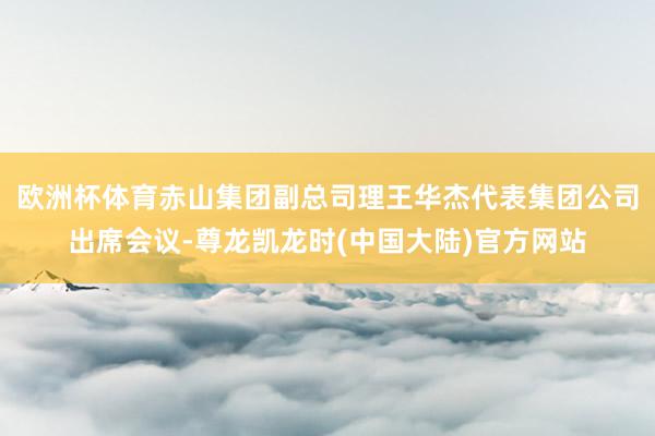 欧洲杯体育赤山集团副总司理王华杰代表集团公司出席会议-尊龙凯龙时(中国大陆)官方网站