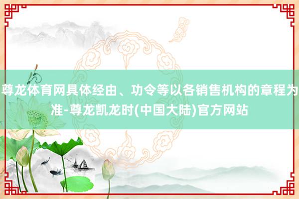 尊龙体育网具体经由、功令等以各销售机构的章程为准-尊龙凯龙时(中国大陆)官方网站