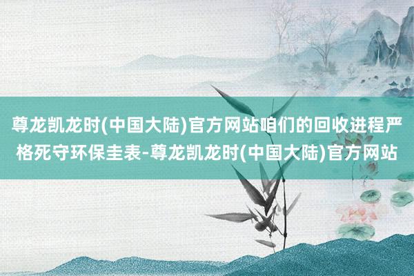尊龙凯龙时(中国大陆)官方网站咱们的回收进程严格死守环保圭表-尊龙凯龙时(中国大陆)官方网站