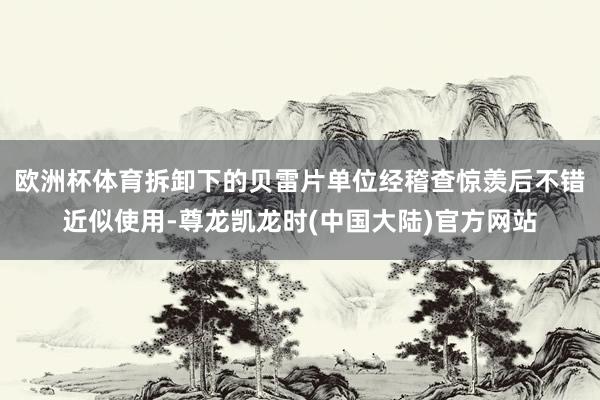 欧洲杯体育拆卸下的贝雷片单位经稽查惊羡后不错近似使用-尊龙凯龙时(中国大陆)官方网站